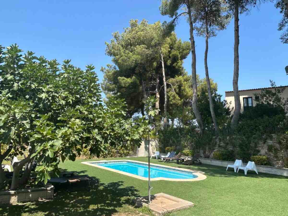 Garden and lawn beside the pool where meals are served